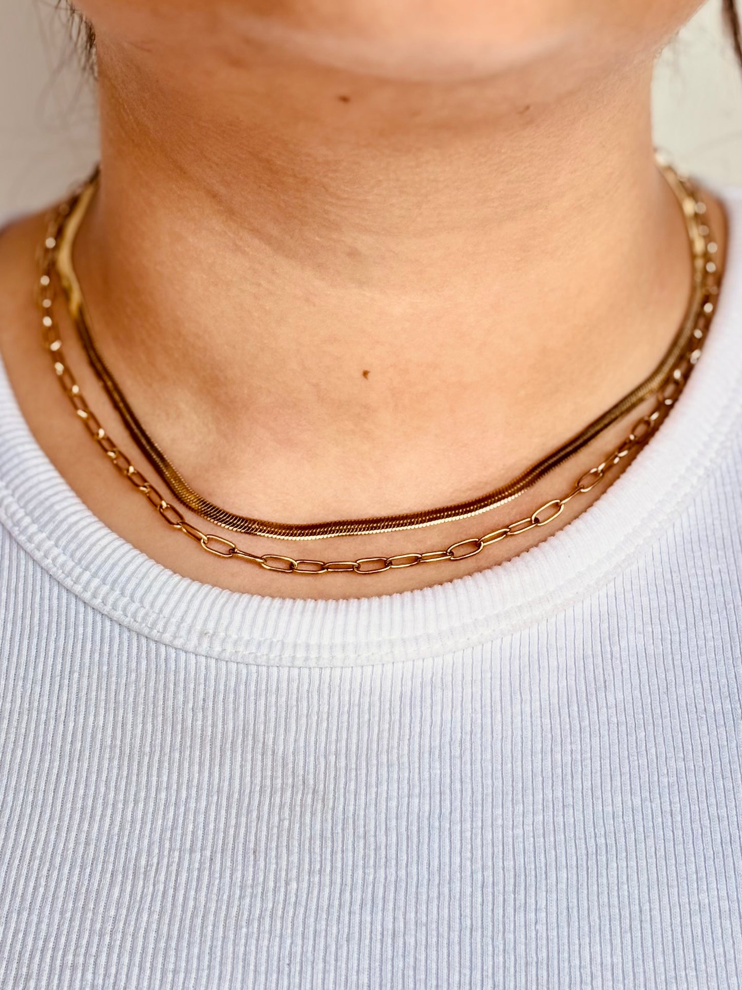Double Layer Snake Chain